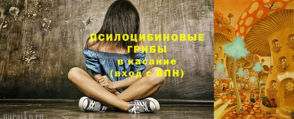 СК Аркадак