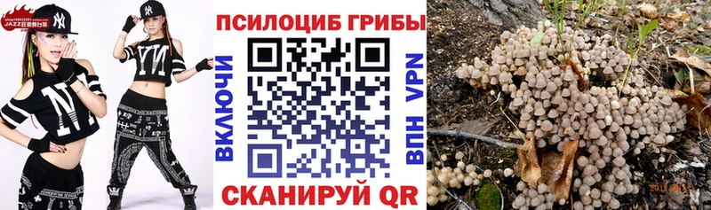 маркетплейс официальный сайт  Светлоград  Псилоцибиновые грибы Magic Shrooms  как найти закладки 